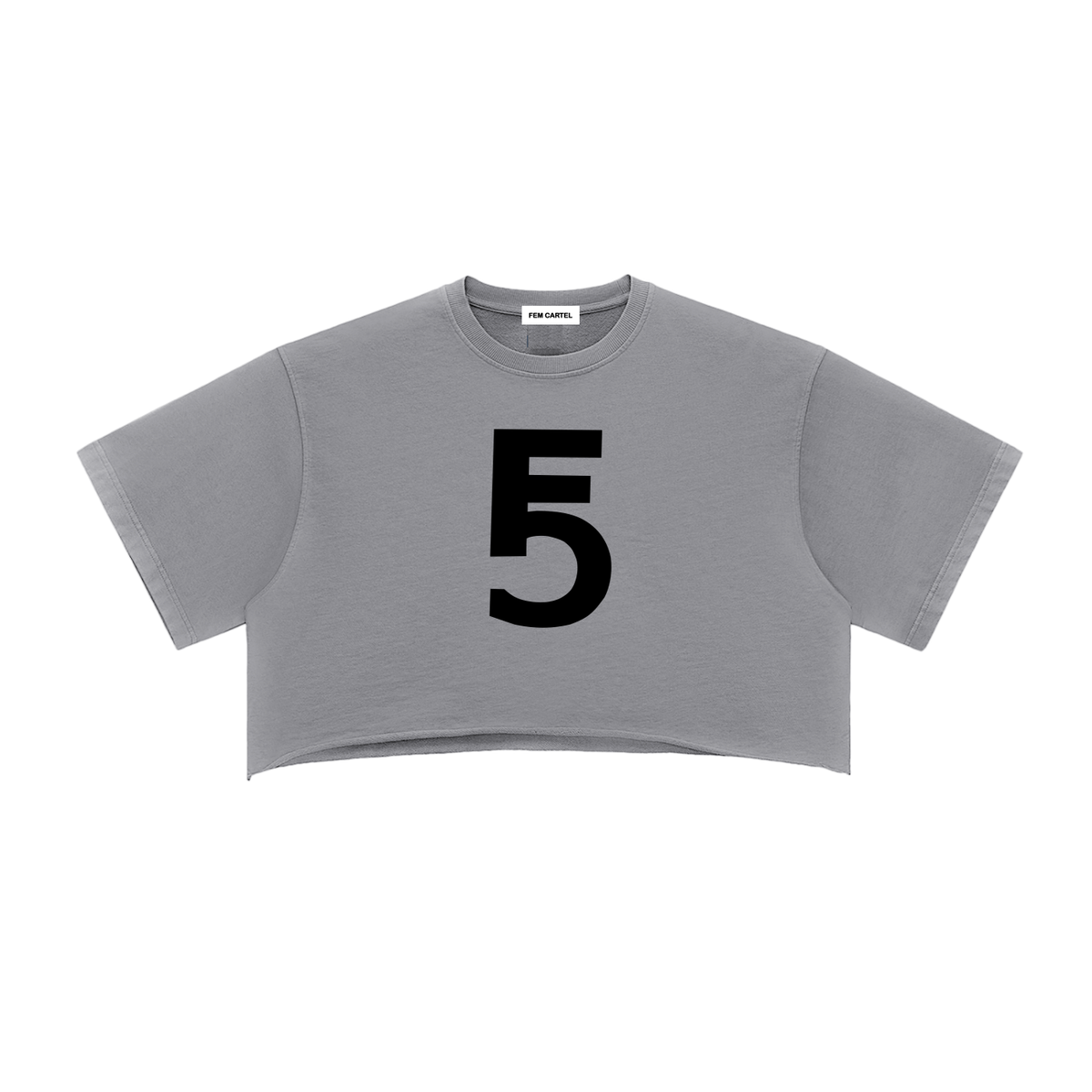 Snow Washed Raw Edge Crop Top | Black Logo