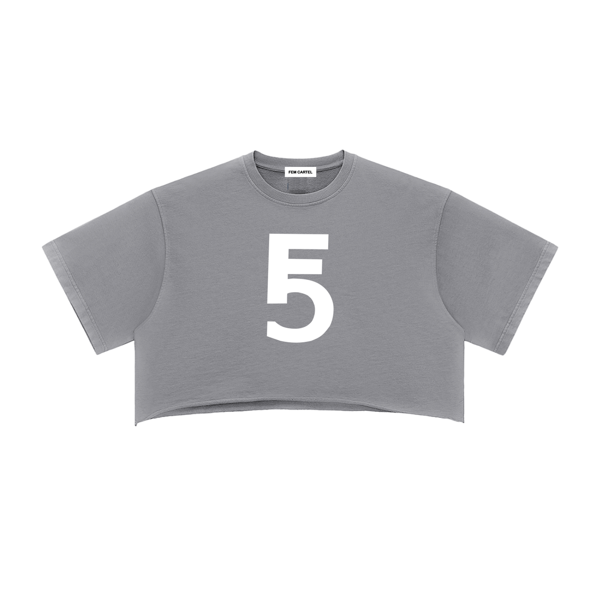 Snow Washed Raw Edge Crop Top | White Logo
