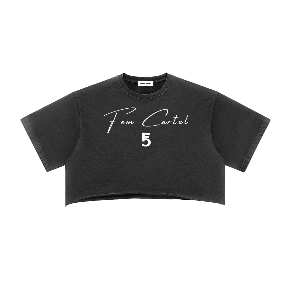 Snow Washed Raw Edge Crop Top | White Logo