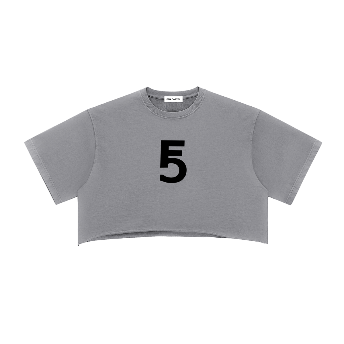 Snow Washed Raw Edge Crop Top | Black Logo