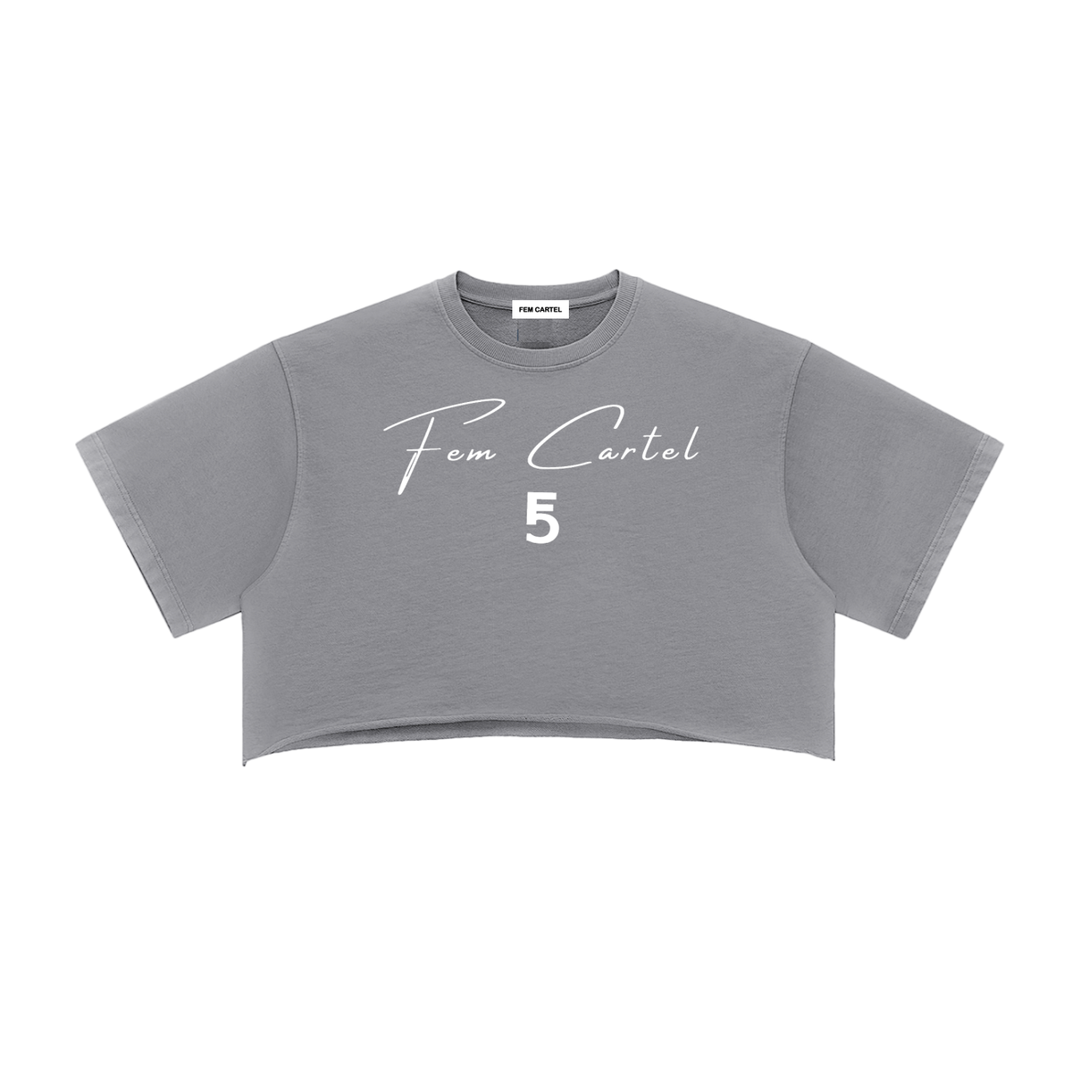 Snow Washed Raw Edge Crop Top | White Logo