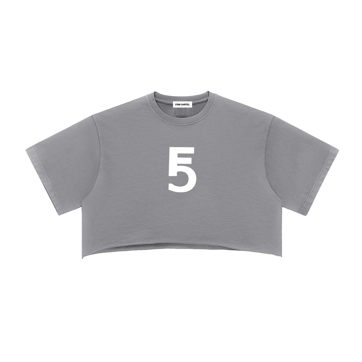 Snow Washed Raw Edge Crop Top | White Logo