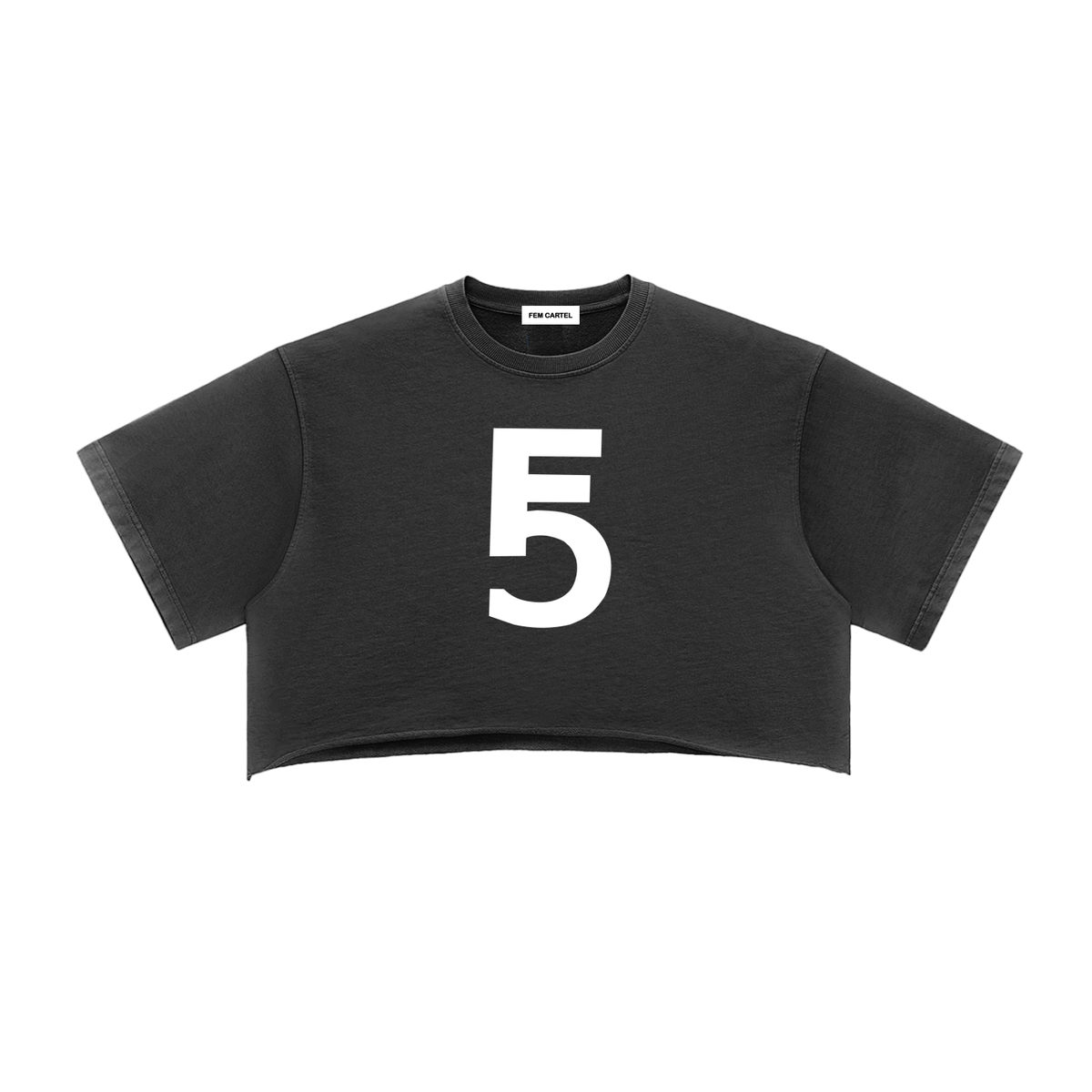 Snow Washed Raw Edge Crop Top | White Logo