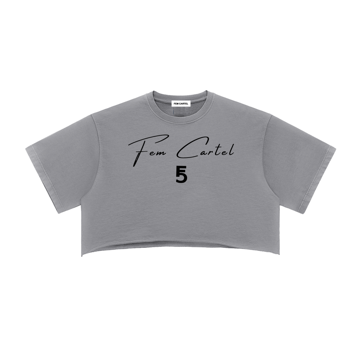 Snow Washed Raw Edge Crop Top | Black Logo